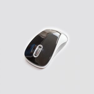 Mouse TRt-11