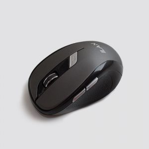 Mouse FR-01